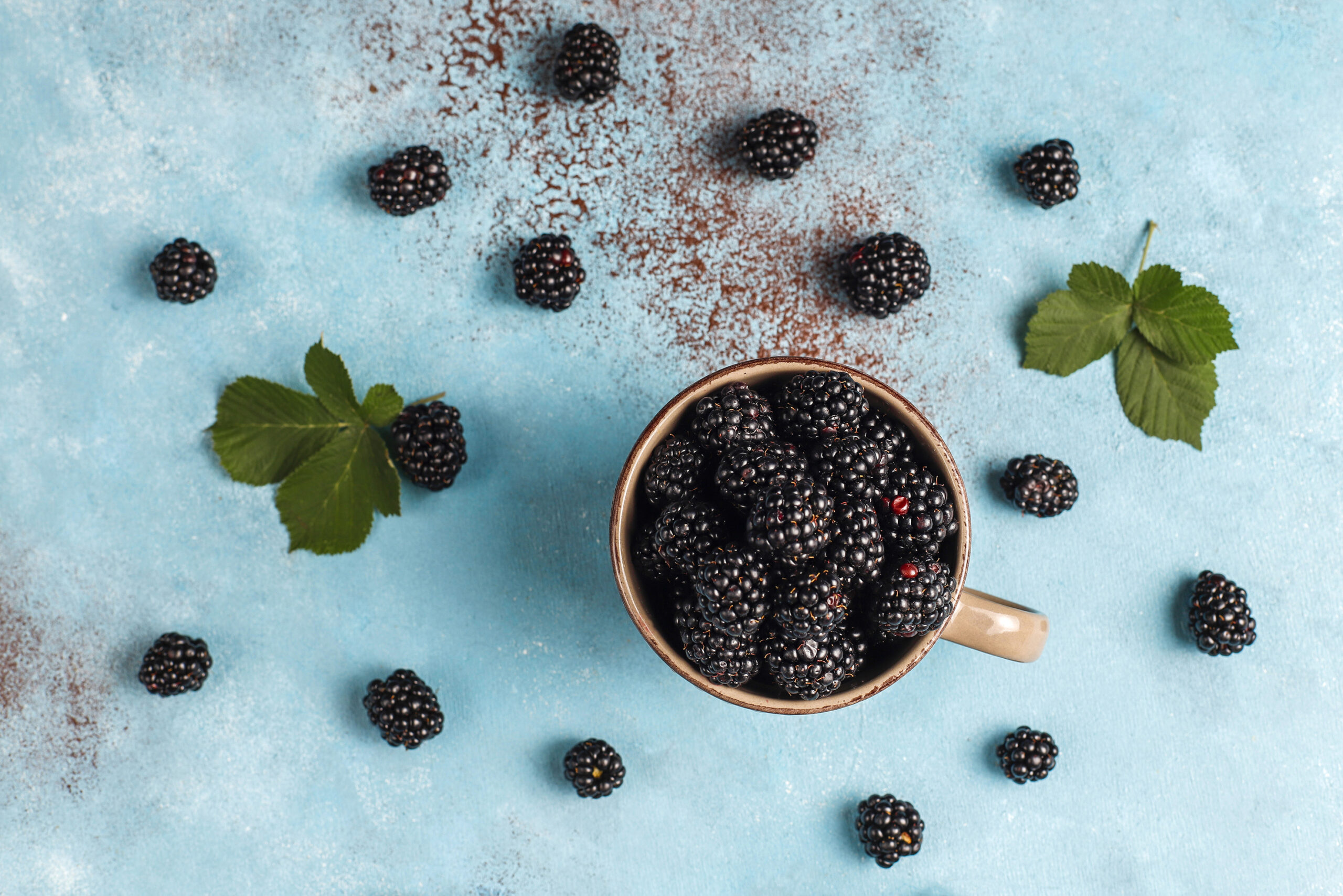 Make Blackberry Syrup - Blackberries in a coffee cup 